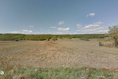 Teren de 2547 mp, în Vălenii de Munte - 9