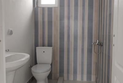 Casă individuală cu 3 camere cu Teren 320 Mp în Crevedia - 9