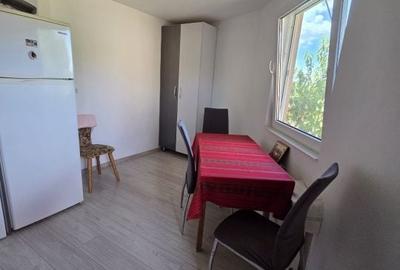 Casă cu 3 camere cu Teren 2100 Mp în Satulung - 2