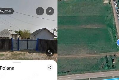 Casă cu Teren 6000 Mp în Pleșa