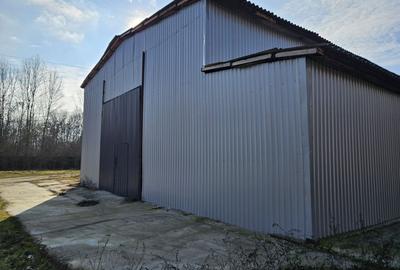 Spațiu industrial, de 3,400 mp, în Tătărăștii de Jos - 3