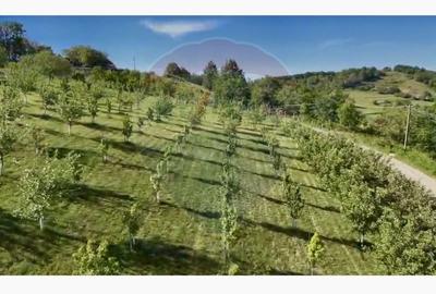 Teren agricol intravilan de 20170 mp, în Șuncuiuș - 1