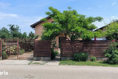 Casă cu 6 camere cu Teren 287 Mp în Joița - 18