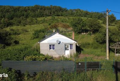 Casă cu 1 camere cu Teren 4162 Mp în Vultureni - 5