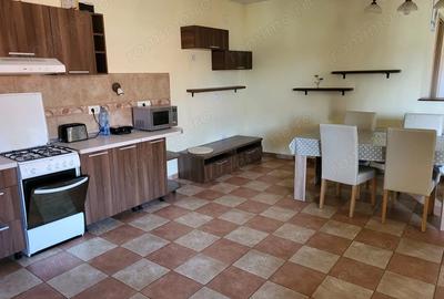 Apartament cu 2 camere decomandat în Bogdăneștilor - 4