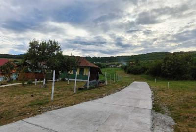 Spațiu comercial, în Mogoșești