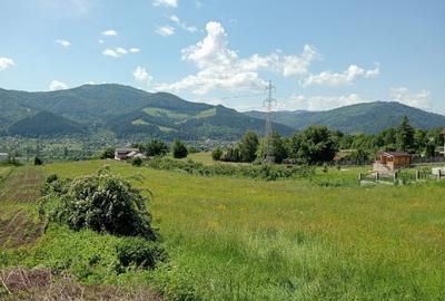 Teren intravilan de 8600 mp, în Viișoara - 3