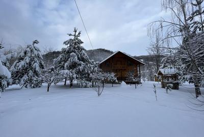 Casă cu 3 camere în Costești - 5