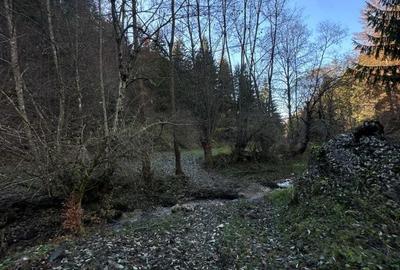 Teren de 2882 mp, în Dâmbovicioara - 9