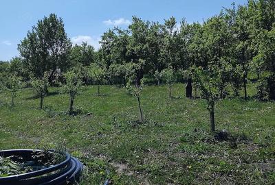 Teren de 6000 mp, în Fălticeni - 3