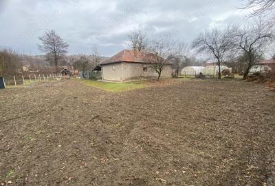Casă cu 2 camere în Pestișu Mic - 3