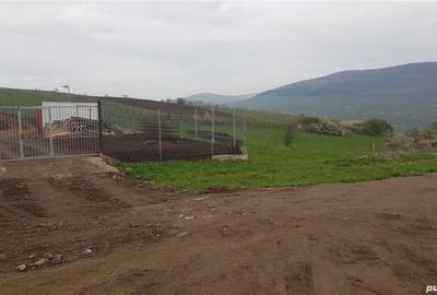Teren de 3750 mp, în Rădaia