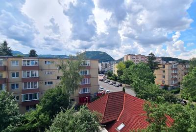 Apartament cu 2 camere semidecomandat în Astra - 11