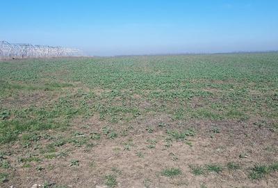 Teren de 22756 mp, în Vânători - 2