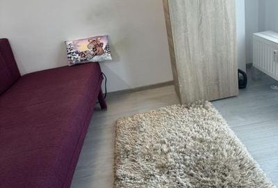 Garsonieră în Sânmartin - 3