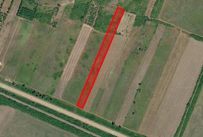 Teren de 4600 mp, în Sălăjeni