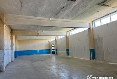 Spațiu industrial, de 270 mp, în Iris - 1
