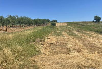 Teren de 1200 mp, în Paleu