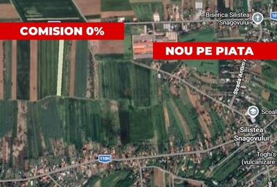 Teren agricol extravilan de 8500 mp, în Siliștea Snagovului