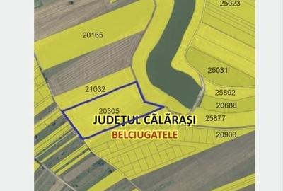 Teren de 20000 mp, în Belciugatele