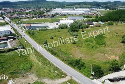 Teren de 17086 mp, în Curtea de Argeș