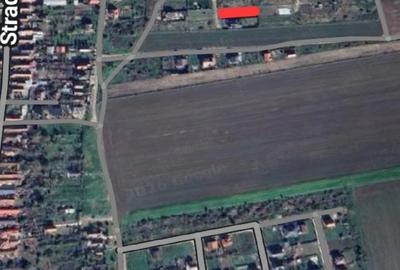 Teren de 715 mp, în Giarmata