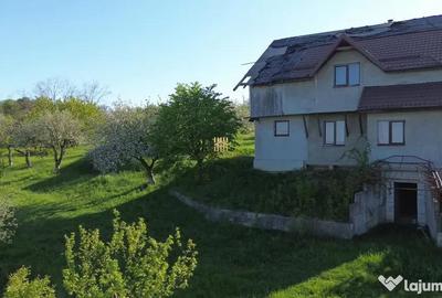 Teren de 4863 mp, în Adâncata - 13