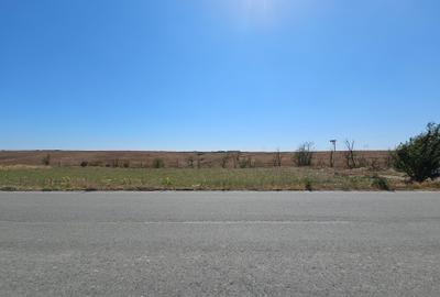 Teren agricol extravilan de 10000 mp, în Sibioara - 3
