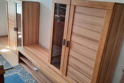 Garsonieră decomandată în Tudor - 1