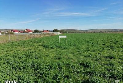 Teren de 2800 mp, în Valea Călugărească - 1