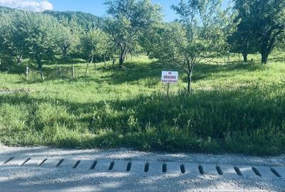 Spațiu comercial, în Morilor - 3