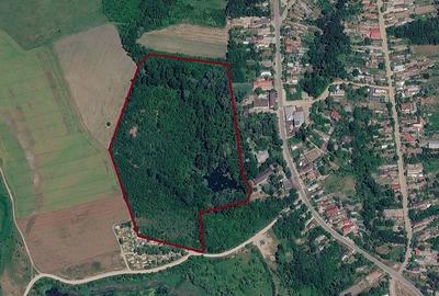 Teren Construcții intravilan de 63000 mp, în Izvoru (Vânătorii Mici) - 2