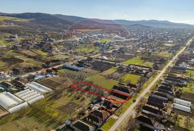 Teren de 1295 mp, în Șiria - 2