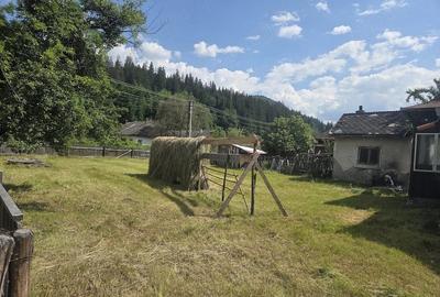 Casă cu 3 camere cu Teren 1000 Mp în Tulgheș