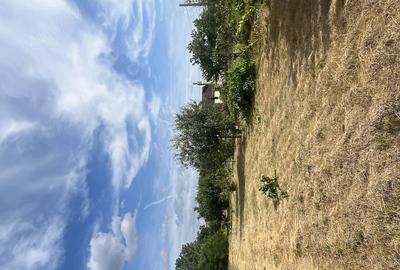 Teren de 1367 mp, în Ianca