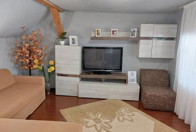 Casă cu 6 camere în Băiuț - 6