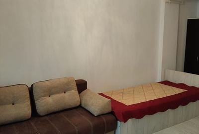 Garsonieră nedecomandată în Valea Lupului