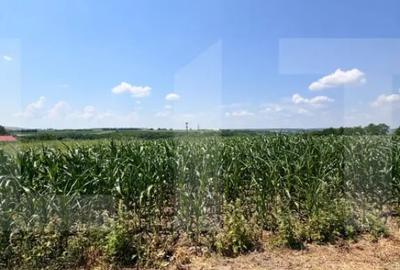 Teren în Leorda