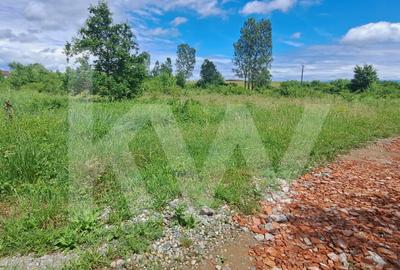Teren agricol extravilan de 600 mp, în Șelimbăr - 3