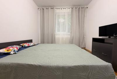 Apartament cu 2 camere, mobilat în Berceni - 10