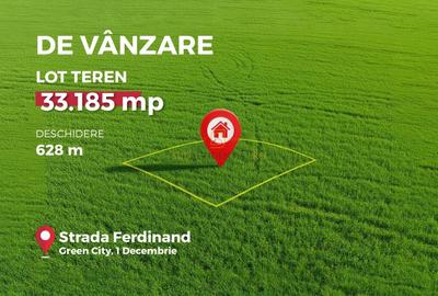 Teren Construcții intravilan de 33185 mp, în 1 Decembrie - 1