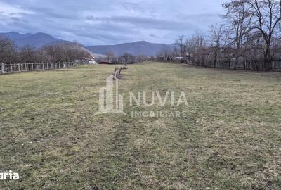Teren de 2500 mp, în Central