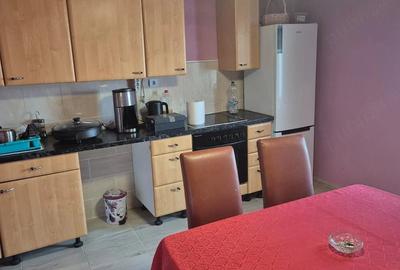 Casă cu Teren 1420 Mp în Beba Veche