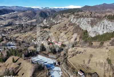 Spațiu comercial, în Dâmbovicioara - 2