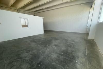 Spațiu industrial, de 425 mp, în Freidorf - 3