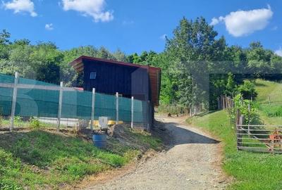 Casă cu 4 camere cu Teren 6500 Mp în Ucea - 1