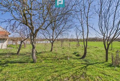 Casă individuală cu 4 camere cu Canalizare în Duboz - 14