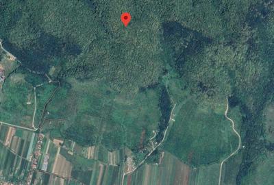 Teren de 10000 mp, în Urvind