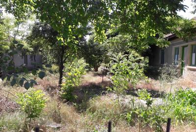 Casă cu 4 camere în Amara