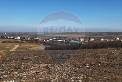 Teren de 618 mp, în Oncea